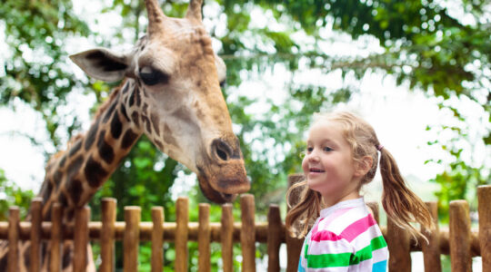 parc zoologique à Lyon.png