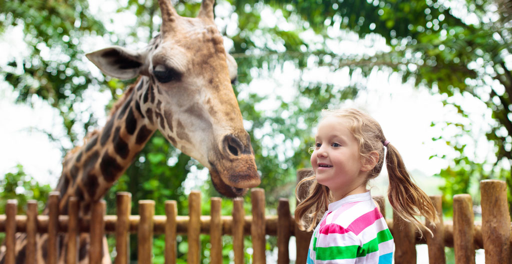 parc zoologique à Lyon.png